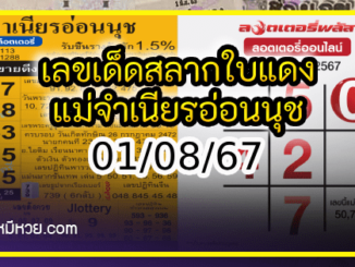 เลขเด็ดสลากใบแดง-แม่จำเนียรอ่อนนุช 01/08/67 [สิบเลขเด็ดขายดี]