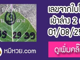 เลขใบโพธิ์1/8/61