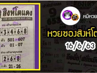 หวยซอง สิงโตแดง 16/6/63