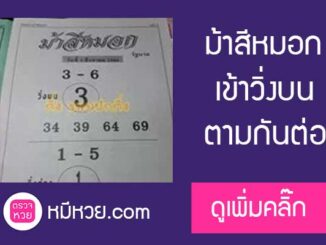 ม้าสีหมอก 1/8/60 ซองดังตามกันไหม!!