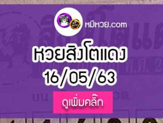 หวยซอง สิงโตแดง 16/5/63