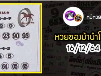 หวยซอง ม้านำโชค 16/12/64