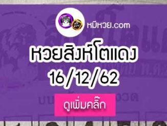 หวยซอง สิงโตแดง 16/12/62