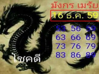 หวยมังกรเมรัย16/12/2559