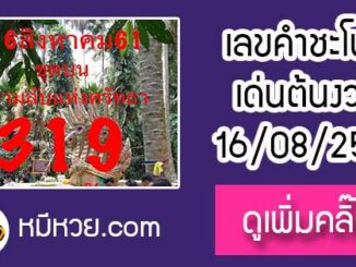 เลขคำชะโนด16/8/61 หวยเด็ดงวดนี้