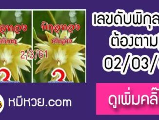 เลขดับพิกุลทอง 2/3/61 ต้องตาม