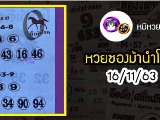 หวยซอง ม้านำโชค 16/11/63