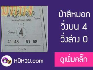 ม้าสีหมอก 1/11/60 หวยเด็ดงวดนี้