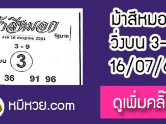 ม้าสีหมอก 16/7/61 หวยเด็ดงวดนี้