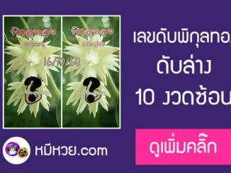 เลขดับพิกุลทอง 16/10/60 โคตรแม่น