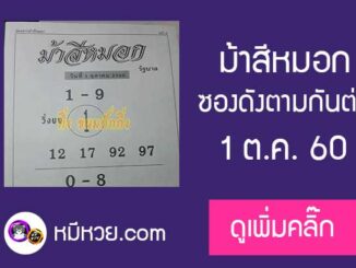 ม้าสีหมอก 1/10/60