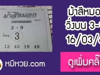 ม้าสีหมอก 16/3/61 หวยเด็ดงวดนี้