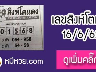 หวยซอง สิงโตแดง 16/6/62