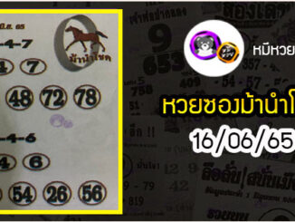 หวยซอง ม้านำโชค 16/06/65