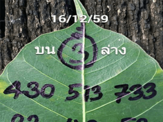 เลขจากใบโพธิ์ 16 ธ.ค 2559 เลขเด็ดงวดนี้