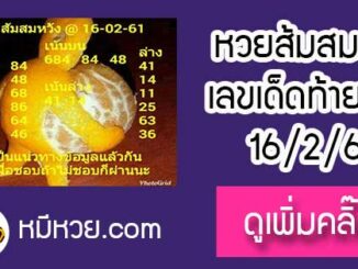 เลขเด็ด ส้มสมหวัง16/2/61