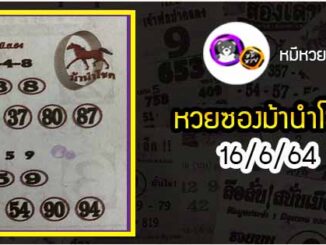 หวยซอง ม้านำโชค 16/6/64