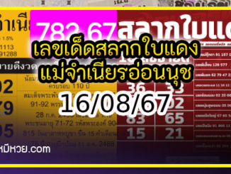 เลขเด็ดสลากใบแดง-แม่จำเนียรอ่อนนุช 16/08/67 [สิบเลขเด็ดขายดี]