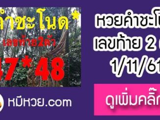 เลขคำชะโนด1/11/61 หวยเด็ดงวดนี้