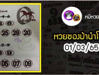 หวยซอง ม้านำโชค 01/03/65