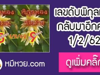 เลขดับพิกุลทอง 1/2/62 ต้องตาม