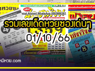 รวมเลขเด็ดหวยซองเด่นๆ แม่นๆ งวด 01/10/66