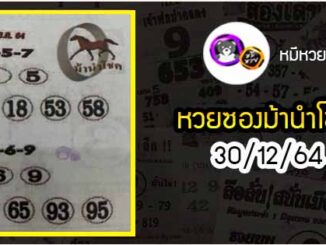 หวยซอง ม้านำโชค 30/12/64