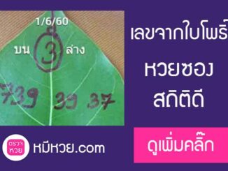 เลขจากใบโพธิ์1/6/2560 ตามกันต่อ!!