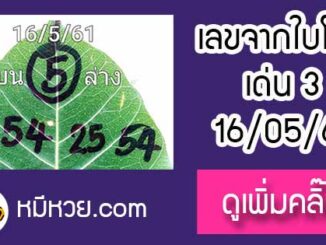 เลขใบโพธิ์16/5/61