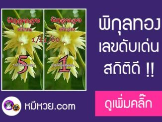 เลขดับพิกุลทอง 1/11/60 สถิติดี