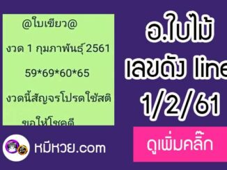 เลขเด็ดกลุ่มแชทไลน์1/2/61 [หวยซอง]