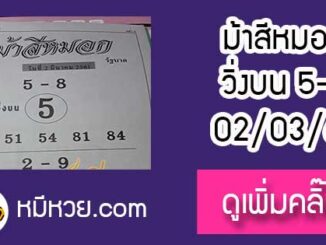 ม้าสีหมอก 2/3/61 หวยเด็ดงวดนี้