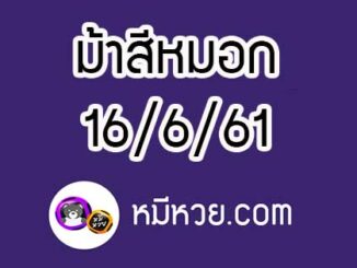 ม้าสีหมอก 16/6/61 หวยเด็ดงวดนี้