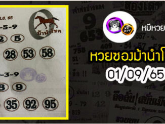 หวยซอง ม้านำโชค 01/09/65