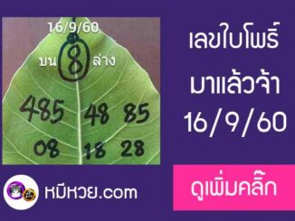 เลขใบโพธิ์16/9/60