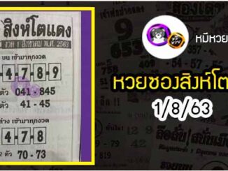 หวยซอง สิงโตแดง 1/8/63