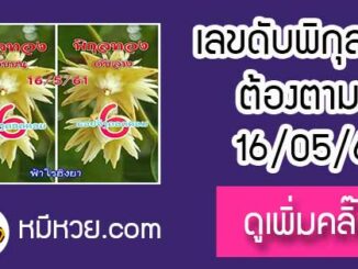 เลขดับพิกุลทอง 16/5/61 ต้องตาม