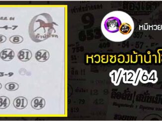 หวยซอง ม้านำโชค 1/12/64