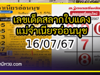 เลขเด็ดสลากใบแดง-แม่จำเนียรอ่อนนุช 16/07/67 [สิบเลขเด็ดขายดี]