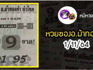 หวยซอง อ.ม้าทองคำ 1/11/64