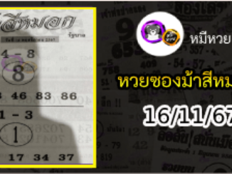 เลขเด็ดงวดนี้ม้าสีหมอก 16/11/67