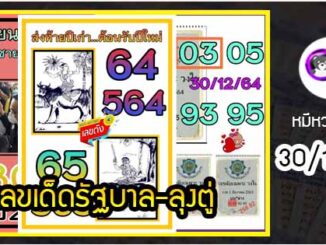 เลขเด็ดรัฐบาล-ลุงตู่ 30/12/64  แม่นทุกงวดห้ามพลาด