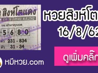 หวยซอง สิงโตแดง 16/8/62