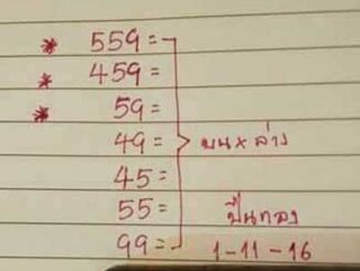 หวยปืนทอง1/11/59