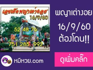 เลขเด็ด พญาเต่างอย16/9/60