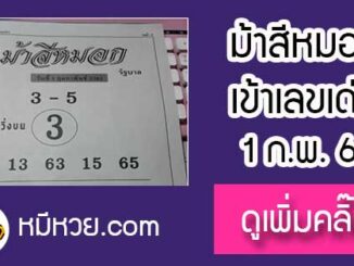 ม้าสีหมอก 1/2/61 หวยเด็ดงวดนี้