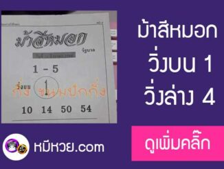 ม้าสีหมอก 16/8/60 ซองดังตามกันไหม