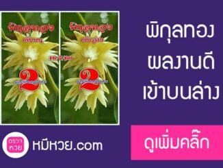 เลขดับพิกุลทอง 16/7/60 โคตรแม่น