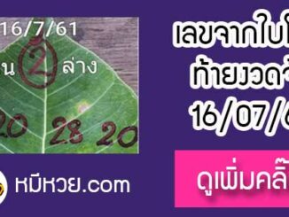 เลขใบโพธิ์16/7/61