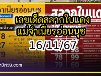 เลขเด็ดสลากใบแดง-แม่จำเนียรอ่อนนุช 16/11/67 [สิบเลขเด็ดขายดี]